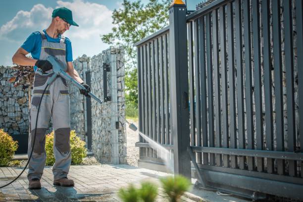 Animal Enclosure Cleaning in Overland, MO